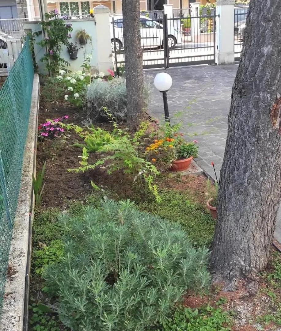 Lejlighed Appartamenti Rimini Nel Cuore